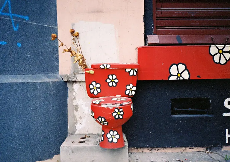 A creatively painted toilet with floral motifs adds color to urban street art.